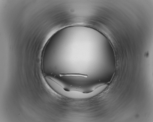 X0000091291483200709071021