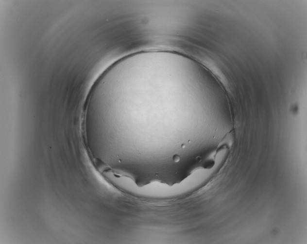 X0000091291484200709071021