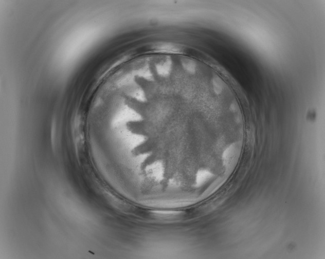 X0000091291487200709071021