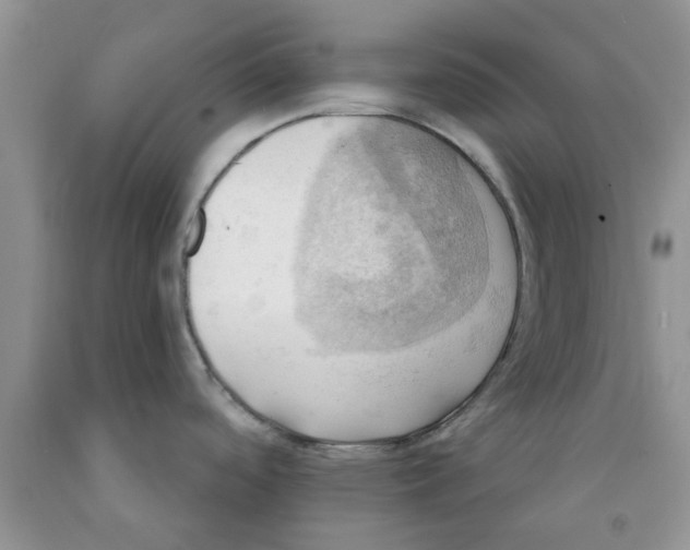 X0000091291488200709071021