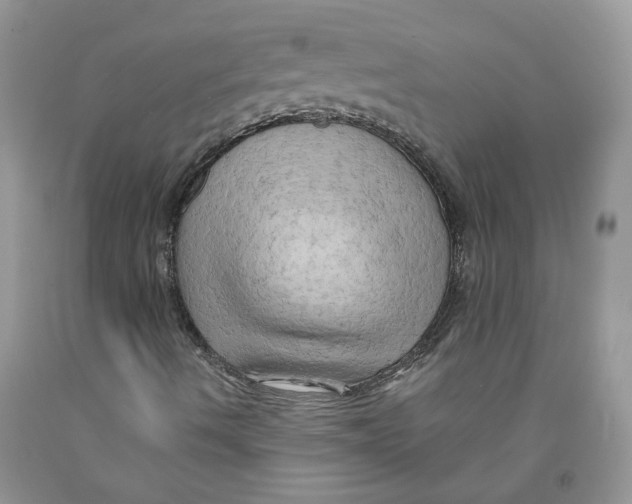 X0000091291490200709071021