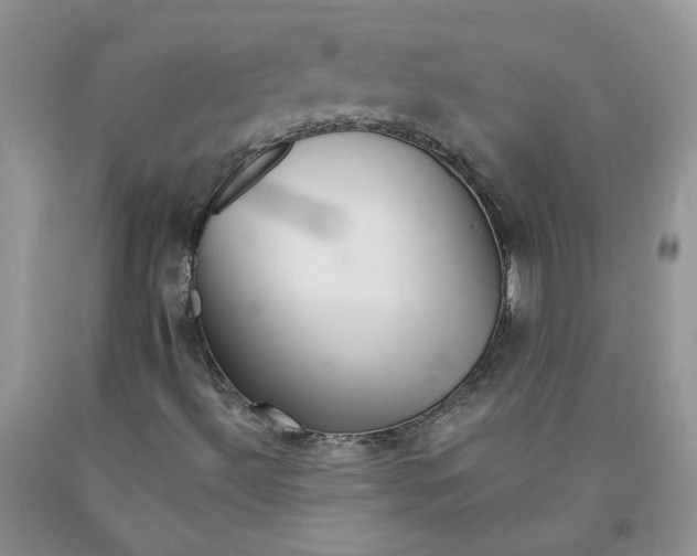 X0000091291492200709071021