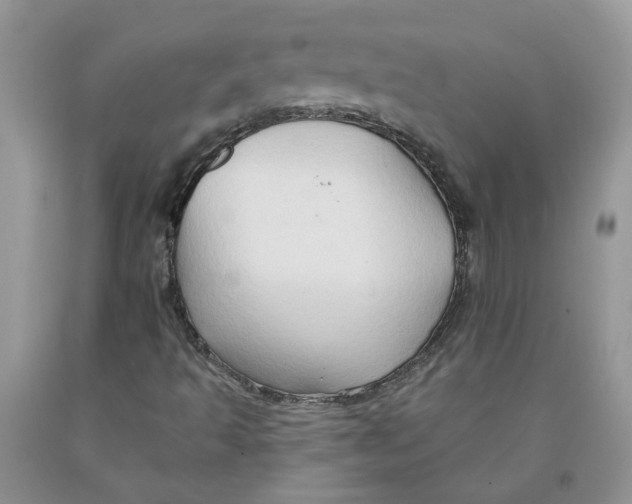 X0000091291493200709071021