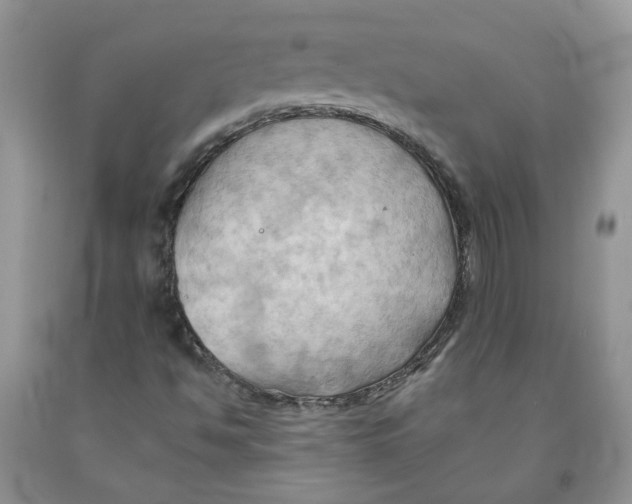 X0000091291494200709071021