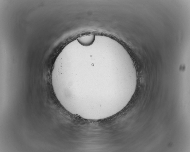 X0000091291495200709071021