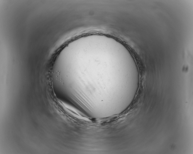 X0000091291496200709071021