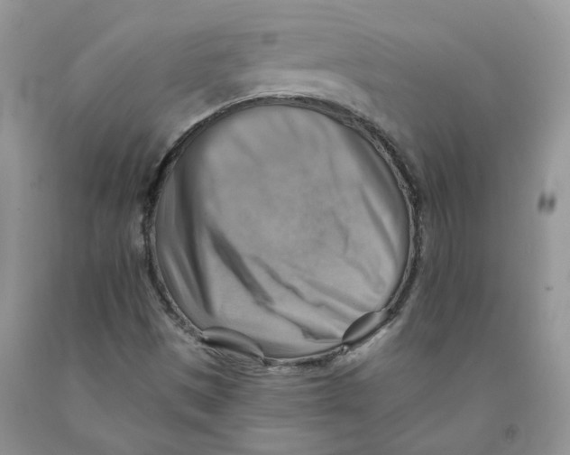 X0000091291497200709071021