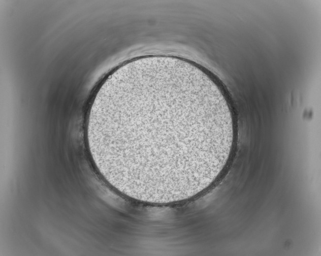 X0000091291498200709071021