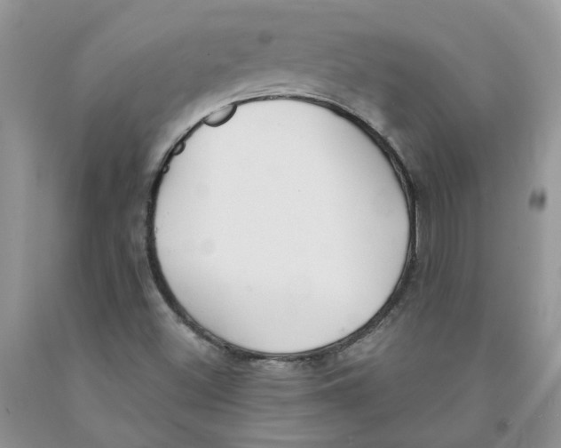 X0000091291500200709071021