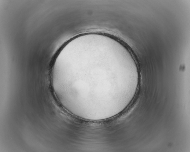 X0000091291501200709071021