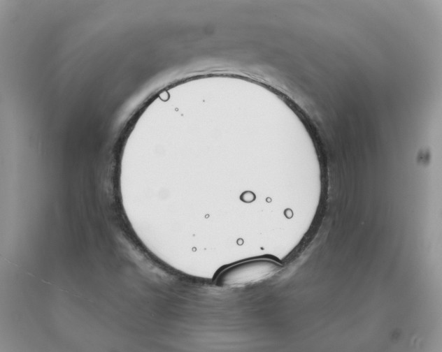 X0000091291502200709071021