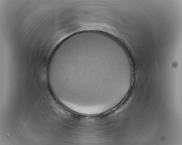 X0000091291505200709071021