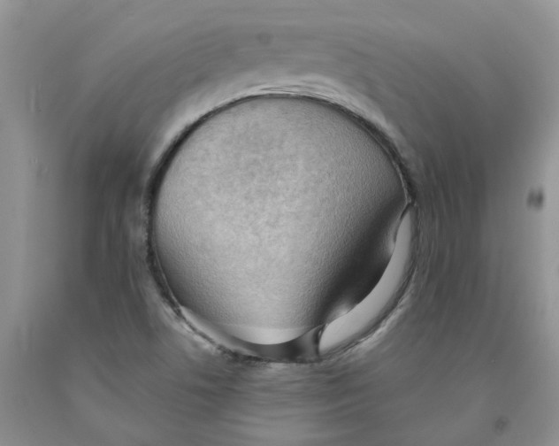 X0000091291506200709071021