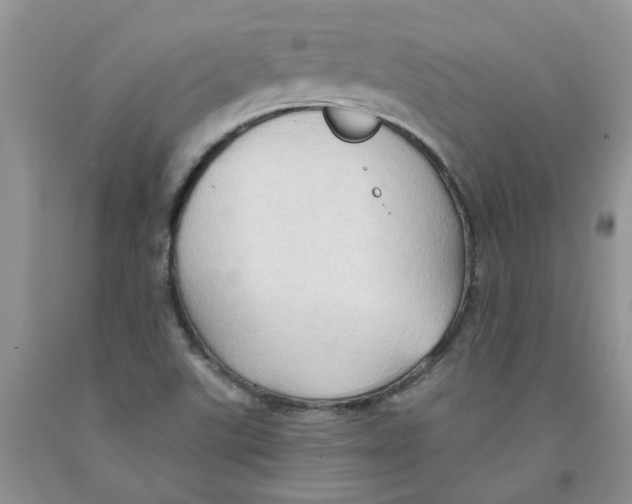 X0000091291507200709071021