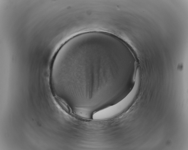 X0000091291508200709071021