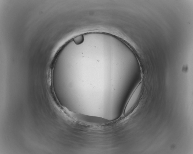 X0000091291510200709071021