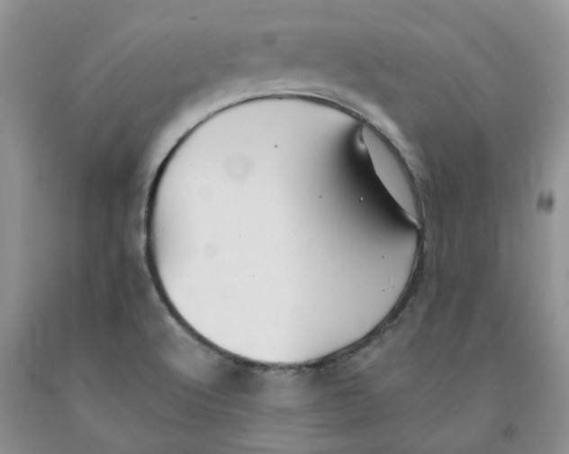 X0000091291512200709071021