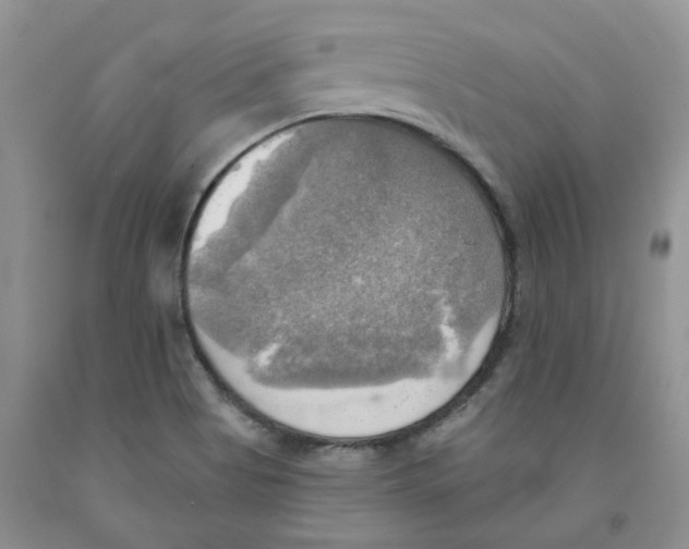 X0000091291513200709071021