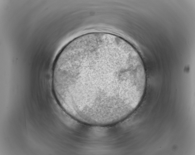 X0000091291514200709071021