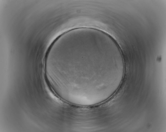 X0000091291515200709071021