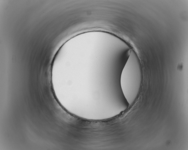 X0000091291516200709071021