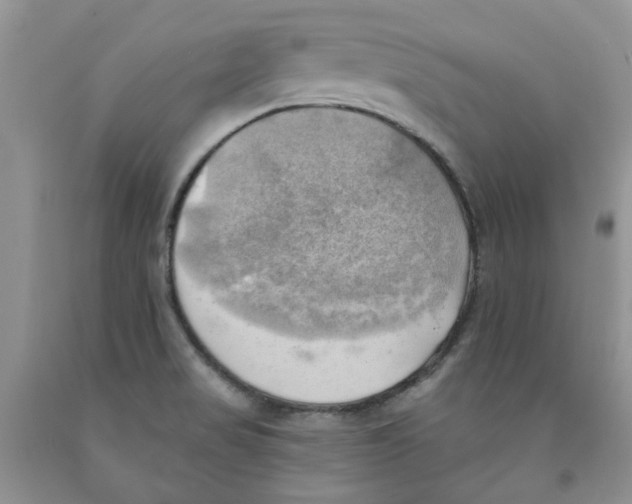 X0000091291517200709071021