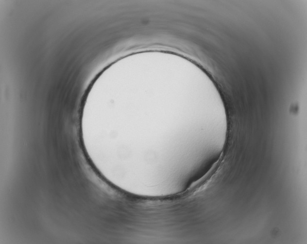 X0000091291518200709071021