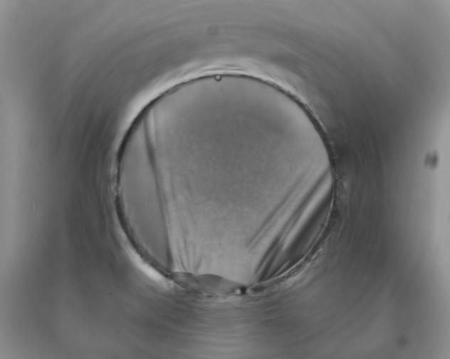 X0000091291519200709071021