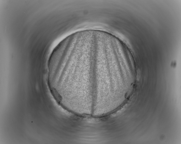 X0000091291520200709071021