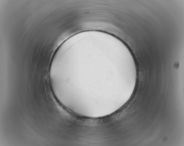 X0000091291521200709071021