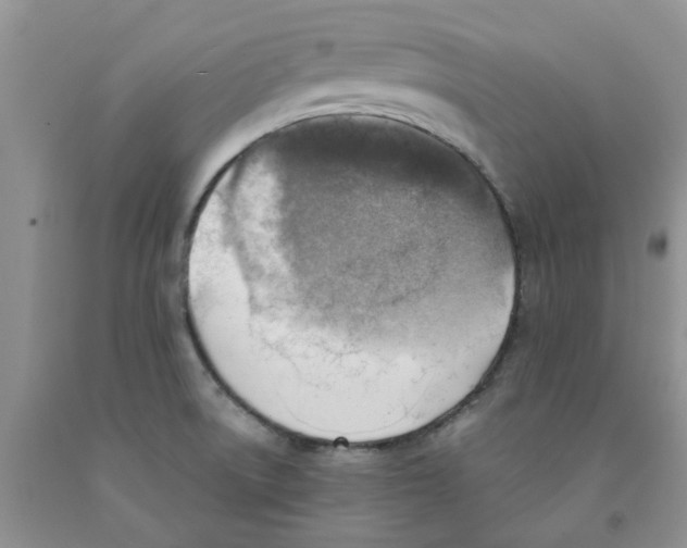 X0000091291522200709071021