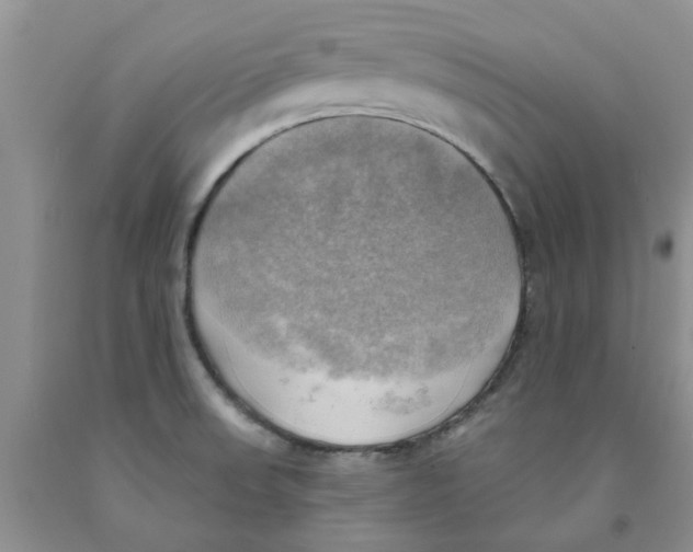 X0000091291523200709071021