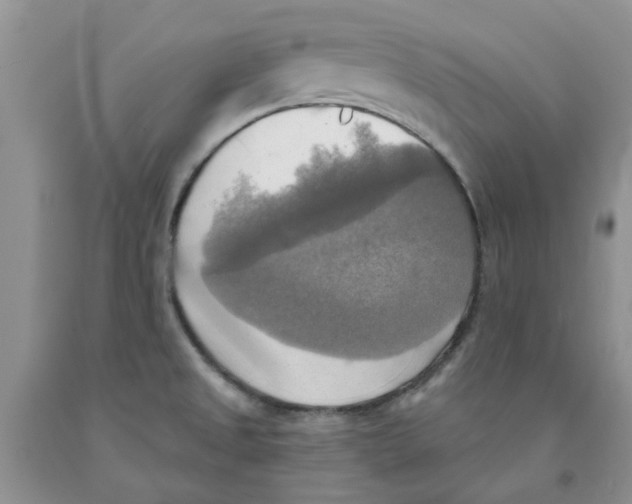 X0000091291525200709071021