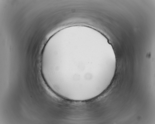 X0000091291526200709071021