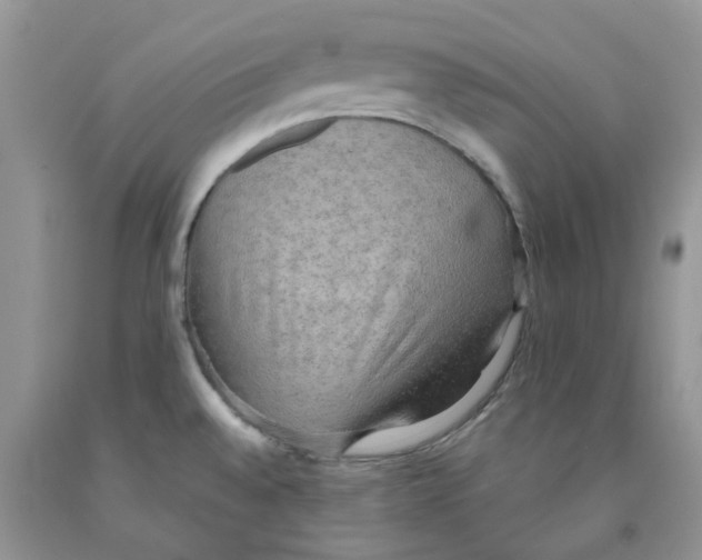 X0000091291528200709071021