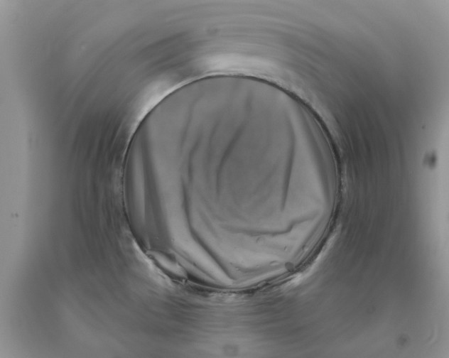 X0000091291529200709071021