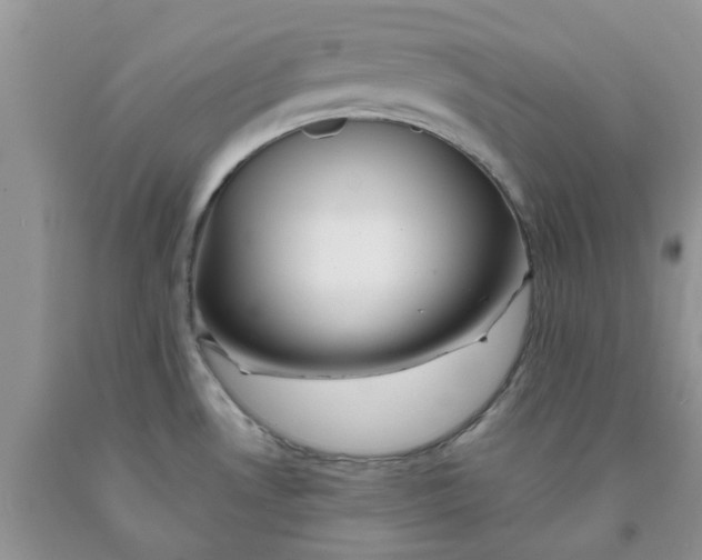 X0000091291530200709071021