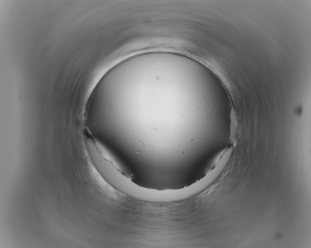 X0000091291532200709071021