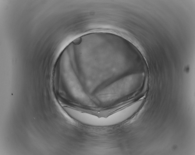 X0000091291533200709071021