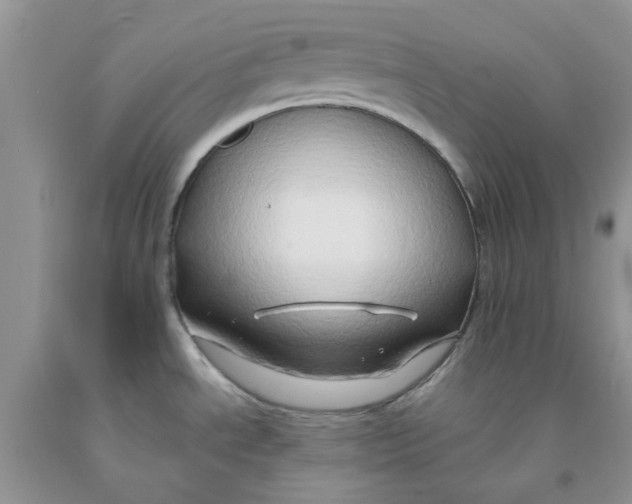 X0000091291534200709071021