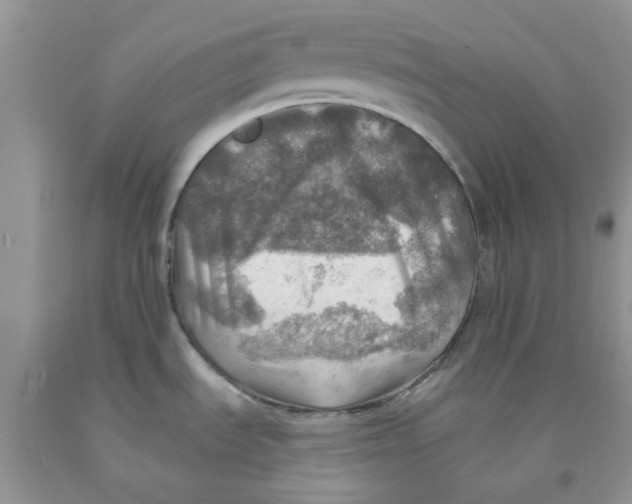 X0000091291535200709071021