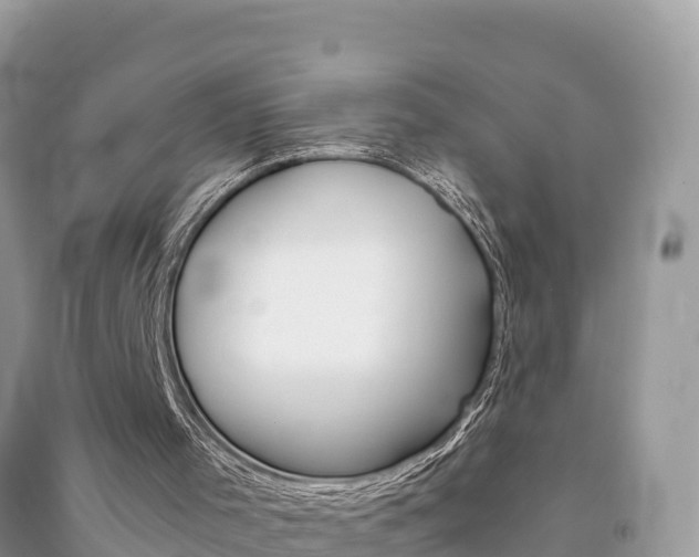 X0000091300001200708101058