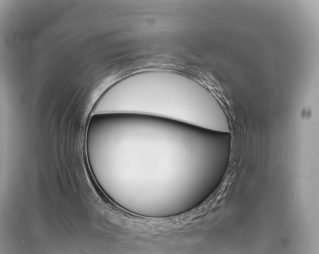 X0000091300003200708101058