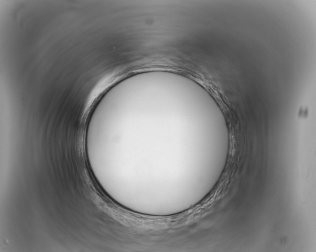 X0000091300004200708101058