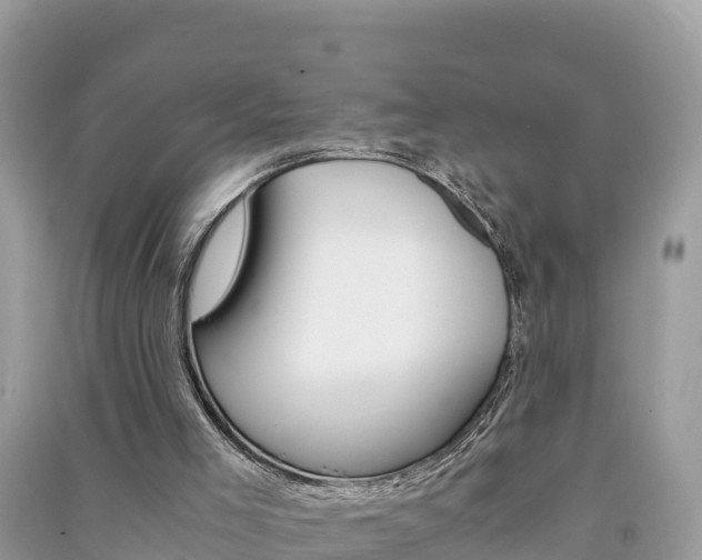 X0000091300005200708101058