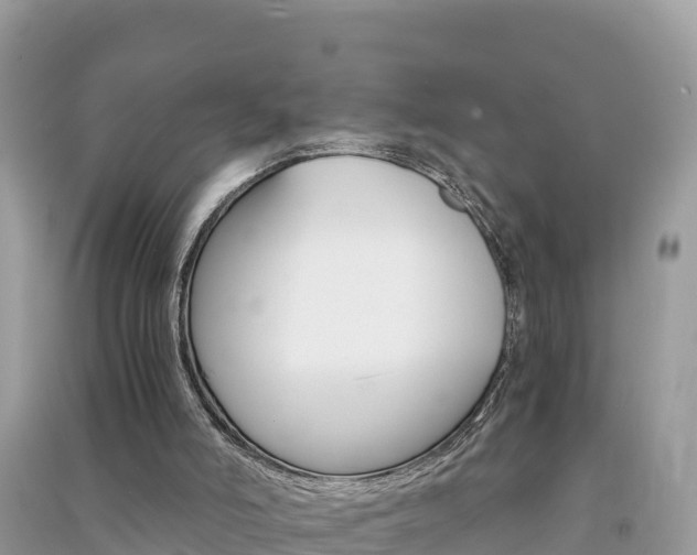 X0000091300006200708101058