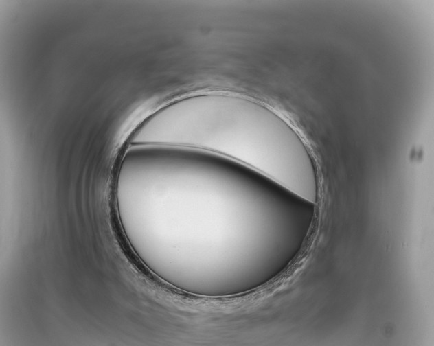 X0000091300007200708101058