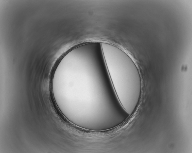 X0000091300008200708101058