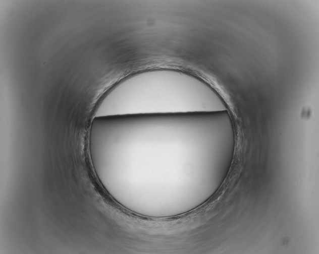 X0000091300010200708101058