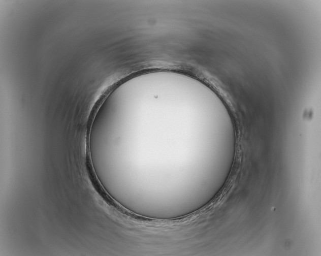 X0000091300011200708101058